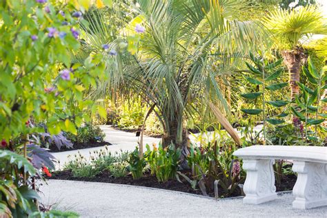 Make Your Garden Tropical With These Tropical Garden