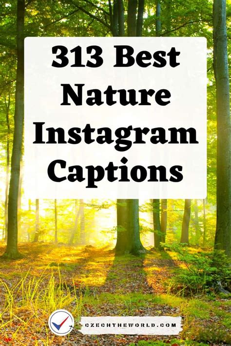 313 Best Instagram Captions For Nature Photos To Copy