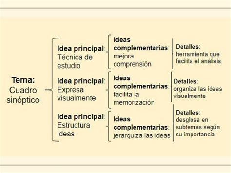 Como Se Elabora Un Cuadro Sinoptico Ermako