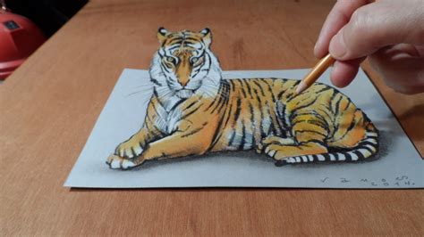 Tiger drawing for beginner#tiger_drawing : Trick Art, Watch my Draw a 3D Tiger, Time Lapse - YouTube
