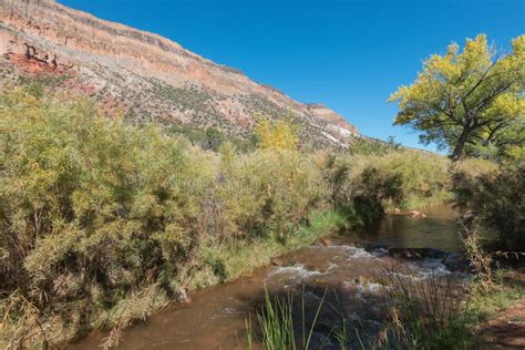 Jemez River In The Jemez Mountains New Mexico Stock Image Image Of
