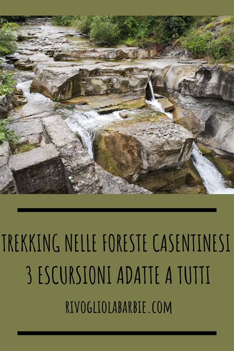 Trekking Nelle Foreste Casentinesi Escursioni Adatte A Tutti