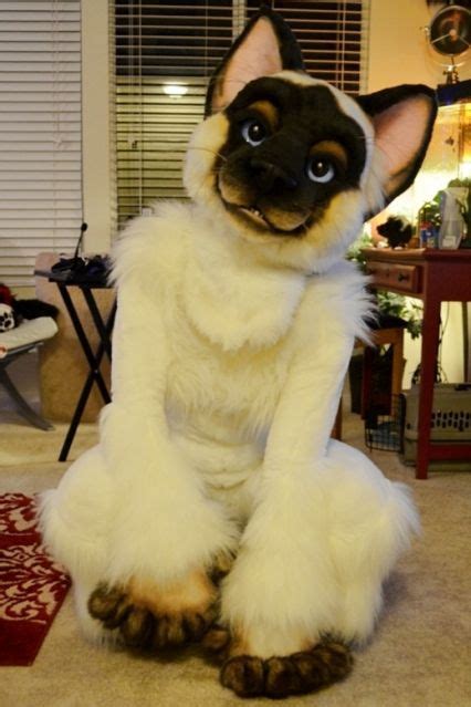Cat Fursuit Fursuit Head Animal Costumes Mascot Costumes Furry Suit