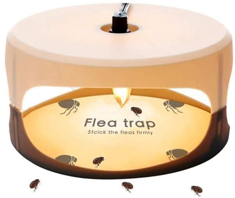 7 Best Electric Flea Traps Reviewed In Detail May 2021