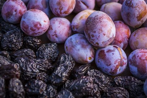 Ca Prune Board Sees High Quality Fruit In Short Crop Year California