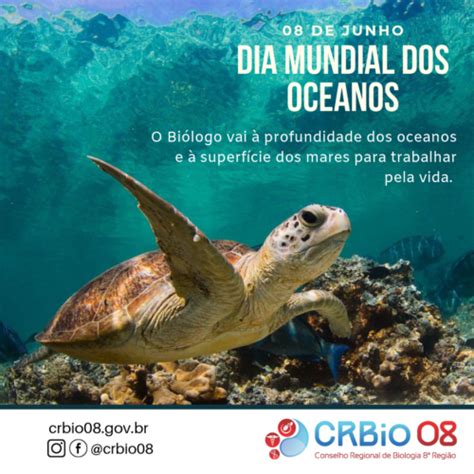 Hoje celebramos o dia mundial dos oceanos e o dia do oceanógrafo no brasil! 08 de Junho - Dia Mundial dos Oceanos | CRBio08 - Conselho ...