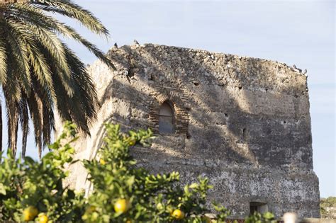 Torre Cremadella o Blanc de Morell  Ajuntament de El Verger