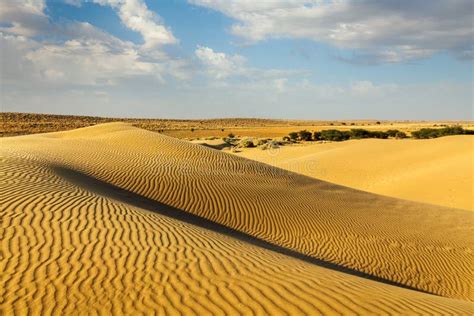 Dunes Of Thar Desert Rajasthan India Stock Image Image Of Tourism