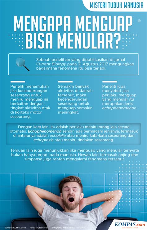 Kita bernapas hanya dengan satu lubang hidung. INFOGRAFIK: Misteri Tubuh Manusia, Mengapa Menguap Bisa ...