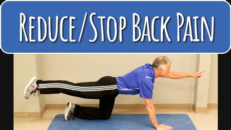 Top 3 Core Exercises To Reduce Stop Back Pain Youtube