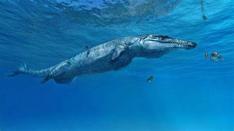 New Prehistoric Sea Monster Species Identified