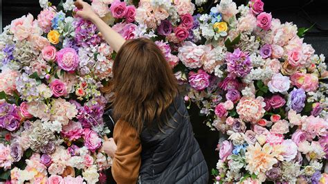 This is available to buy only in wholesale quantities prices shown are for 1 stem or it. Wholesale Flowers Direct To Public - Wholesale Flowers ...