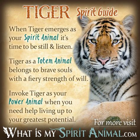 Get In Depth Tiger Symbolism And Tiger Meanings Tiger As A Spirit Totem