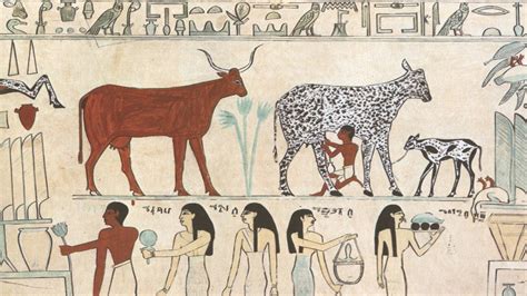 Plant And Animal Domestication In Geography Egypt Animals Ancient
