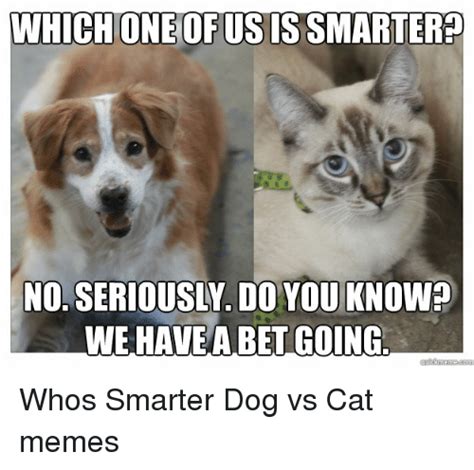Cat Vs Dogs Memes