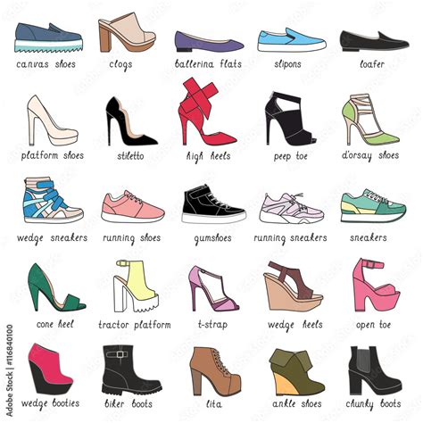 Set With 25 Different Types Of Womens Shoes Stock Vector Adobe Stock