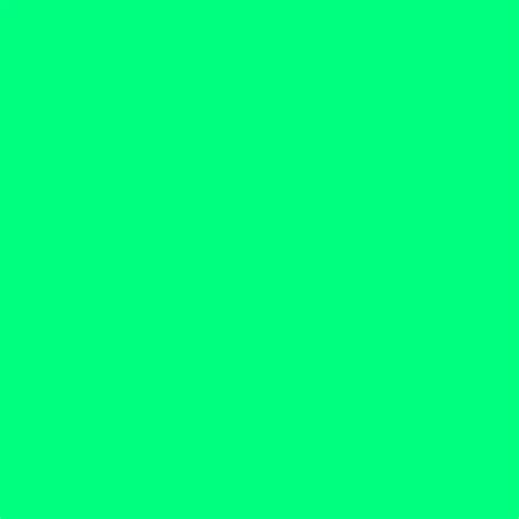 2048x2048 Spring Green Solid Color Background
