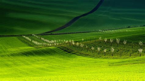 Hd Wallpaper Landscape Photography Of Green Field Moravia South Moravia Wallpaper Flare
