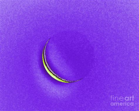 Morning Moon Purple Photograph By Al Powell Photography Usa