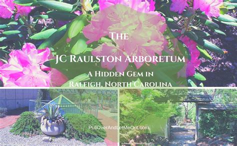 The Jc Raulston Arboretum A Hidden Gem In Raleigh North Carolina