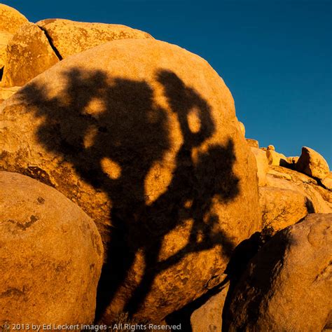 Rock Art Joshua Tree National Park California Ed Leckert Images
