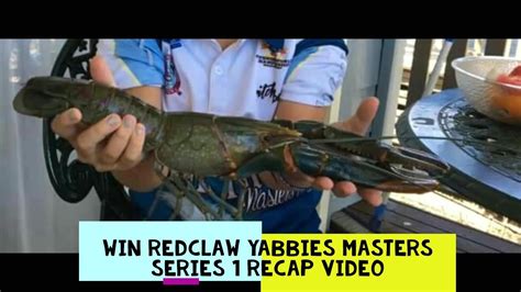 Red Claw Yabbies Masters Series 1 Recap Big Red Claw Crayfish In The