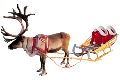 Santa Clauss Reindeer Png Transparent Image Download Size 895x597px