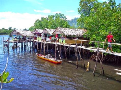 Sebab utama adalah hakikat bahawa sampah daun hutan luruh mempunyai kesan buruk terhadap. Objek Wisata Hutan Bakau (Mangrove) Kota Mamuju, Sulawesi ...