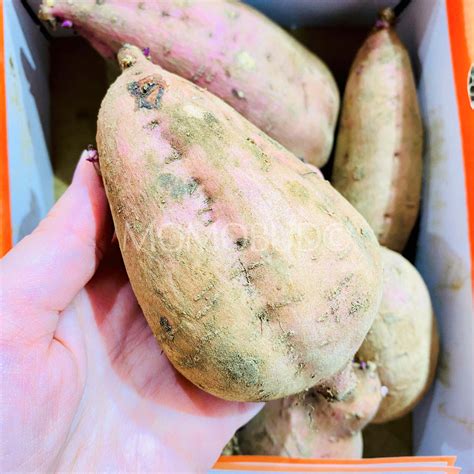 Japanese Yume Hyaku Syou Annou Satsumaimo Box Sweet Potato 750g