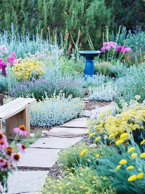Top 10 Easy Perennials For Water Wise Gardeners
