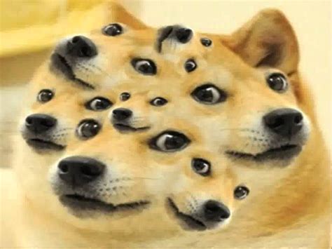Doge Meme Top 50 Funny Memes Video Hd Youtube Doge Meme Doge Doge Dog