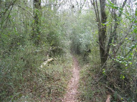 Is nestled on 30 wooded acres of family owned and operated land. Weekend Ride Report: Sumter National Forest - Singletracks ...