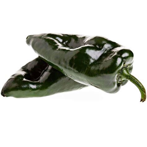 Ancho Poblano Pepper Seeds Mexican Hot Type 1924 Osc Seeds