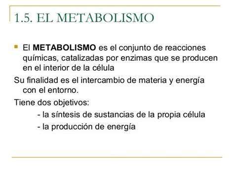 Tema3 B Seres Vivos Metabolismo