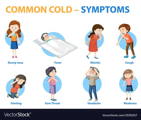 Common Cold Symptoms Cartoon Style Infographic Vector Image