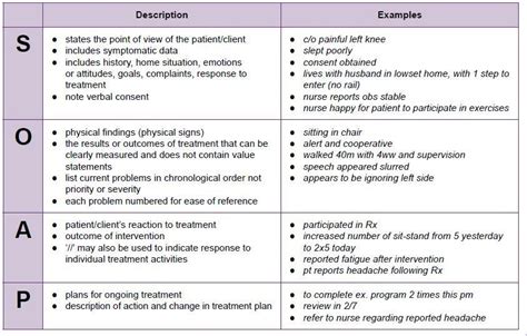 Cbt file format is compatible with software that can be installed on mac os, windows system platform. Pin by Template on Veterinary medicine in 2020 | Soap note, Charting for nurses, Nursing ...