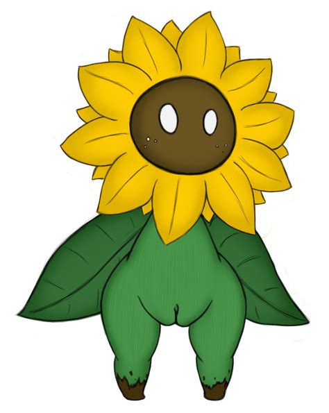 1384704 Kuder Sunflower Lewd Sunflowers Luscious