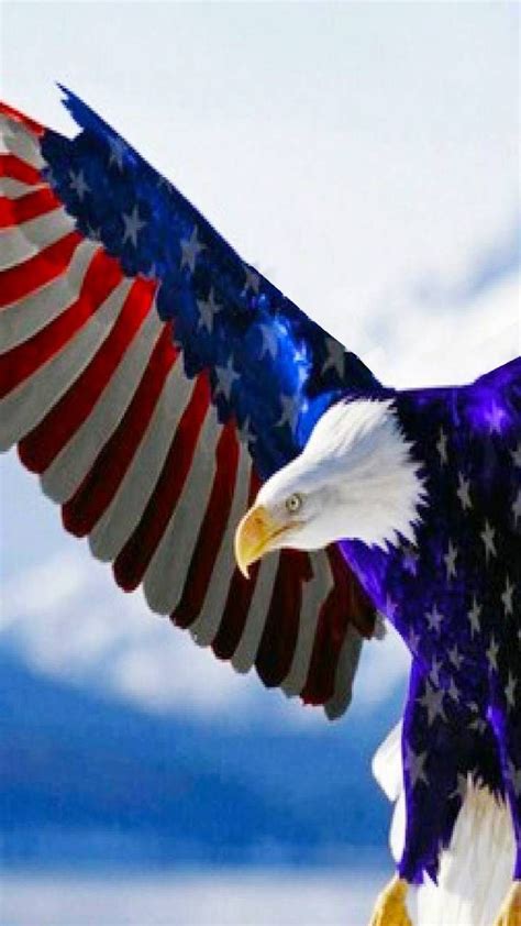 Page 4 for eagle wallpapers in ultra hd or 4k. Pin by David Morgan on American Pride | Bald eagle ...