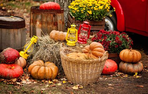 Wallpaper Autumn Leaves Harvest Pumpkin Flowers Autumn Leaves