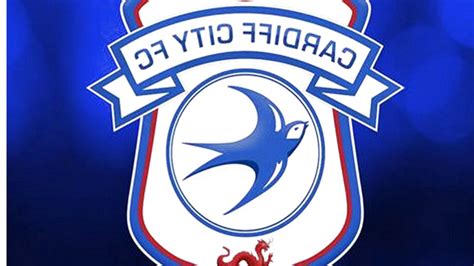 Check spelling or type a new query. Cardiff City Badges for sale in UK | View 56 bargains