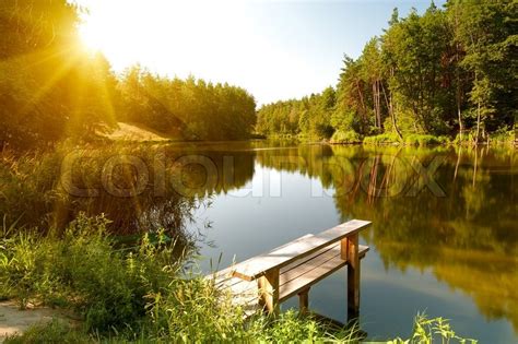 Summer Landscape With Forest Lake Stock Image Colourbox