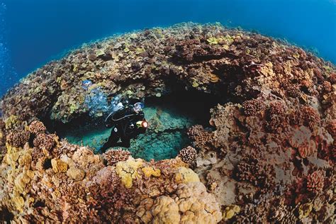 Hawaii Scuba Diving 7 Top Dives
