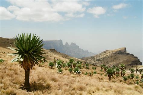 Destination Of The Day Simien Mountains National Park Ethiopia Oc