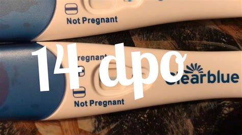 Live Pregnancy Test 14 Dpo Theres A Sign Youtube