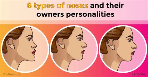 It is also the principal organ in the olfactory system. 8 types of noses and their owners' personalities