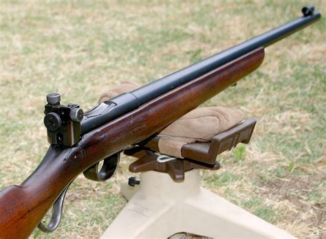 10 Best 22 Rifles For The Money In 2022