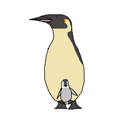 Emperor Penguin Species Wiki Fandom