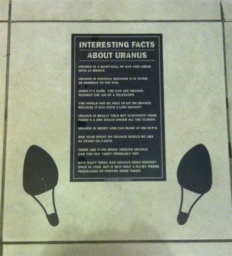 Jimmy Johns Bathroom Floor Signs Bathroom Signs Fun Facts Jimmy Johns