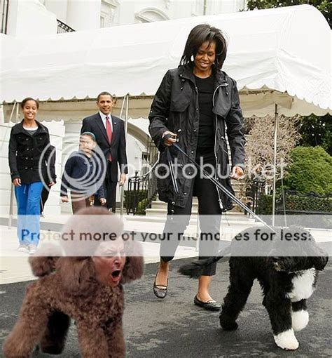 White House Visited By Sex Poodle Caption Time