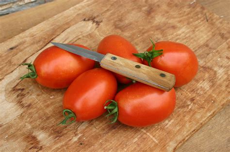 01.07.2019 · mariana tomato pk/20. Mariana (Primed) | Seedway